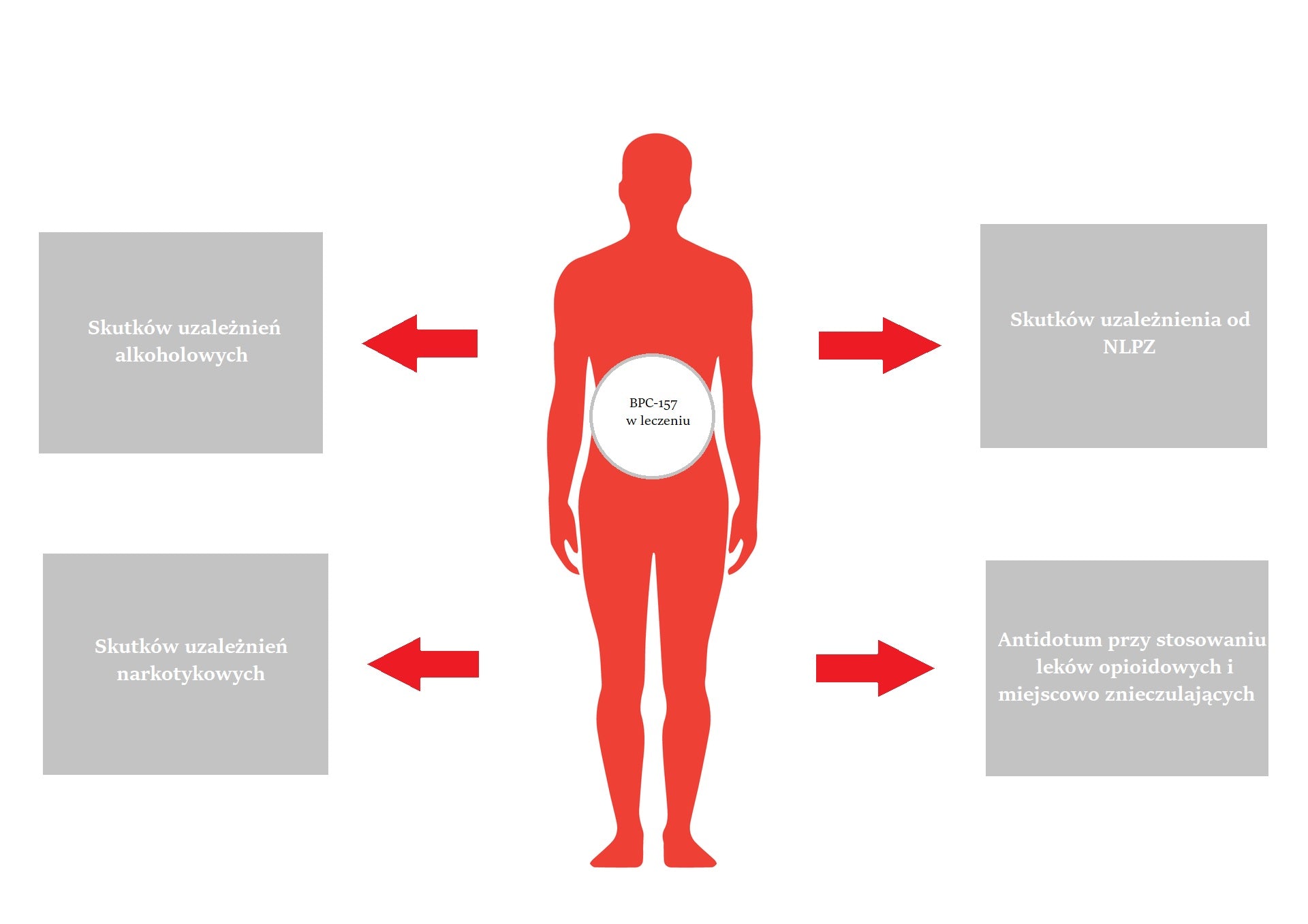 Terapeutyczny wpływ peptydu BPC-157 w leczeniu skutków uzależnień.