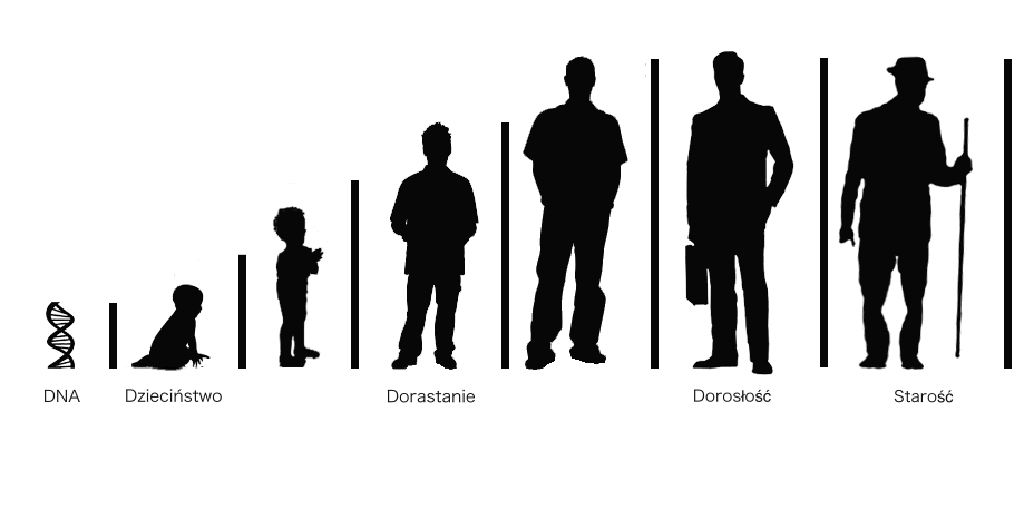 Przeciwstarzeniowa rola NL-Epithalonu jako peptydu zapewniającego długowieczność