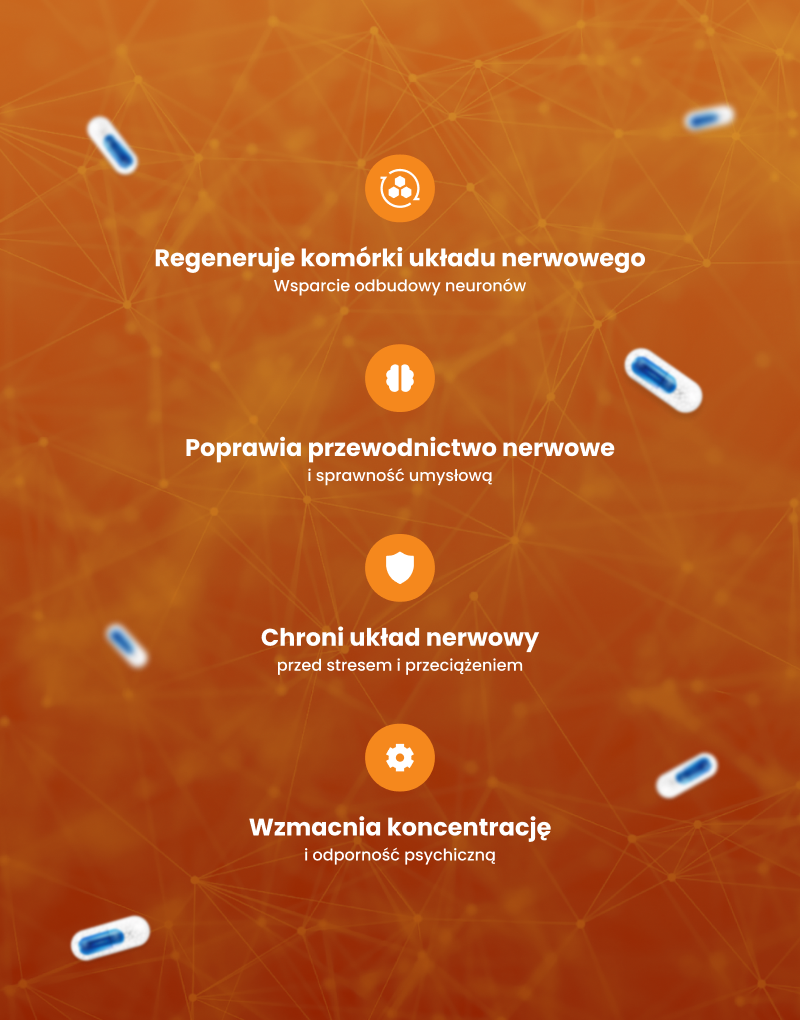 NL-CORTAGEN – regeneracja komórek nerwowych, poprawa przewodnictwa, ochrona układu nerwowego, wzmocnienie koncentracji