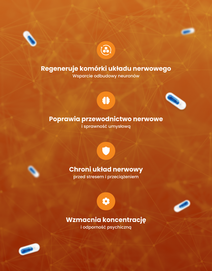 NL-CORTAGEN – regeneracja komórek nerwowych, poprawa przewodnictwa, ochrona układu nerwowego, wzmocnienie koncentracji