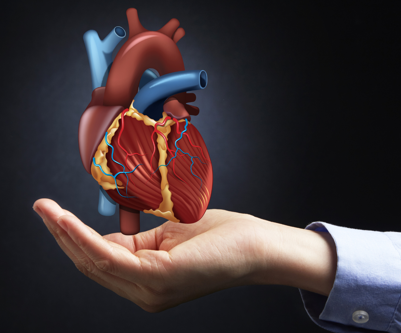 NL-GHK-Cu w profilaktyce chorób sercowo-naczyniowych