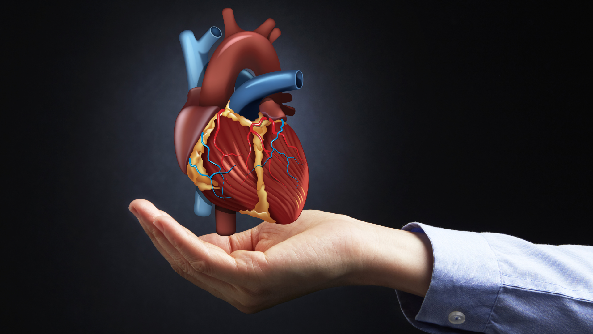 NL-GHK-Cu w profilaktyce chorób sercowo-naczyniowych