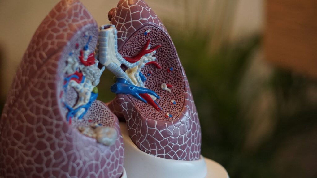 NL-GHK-Cu w chorobach płuc