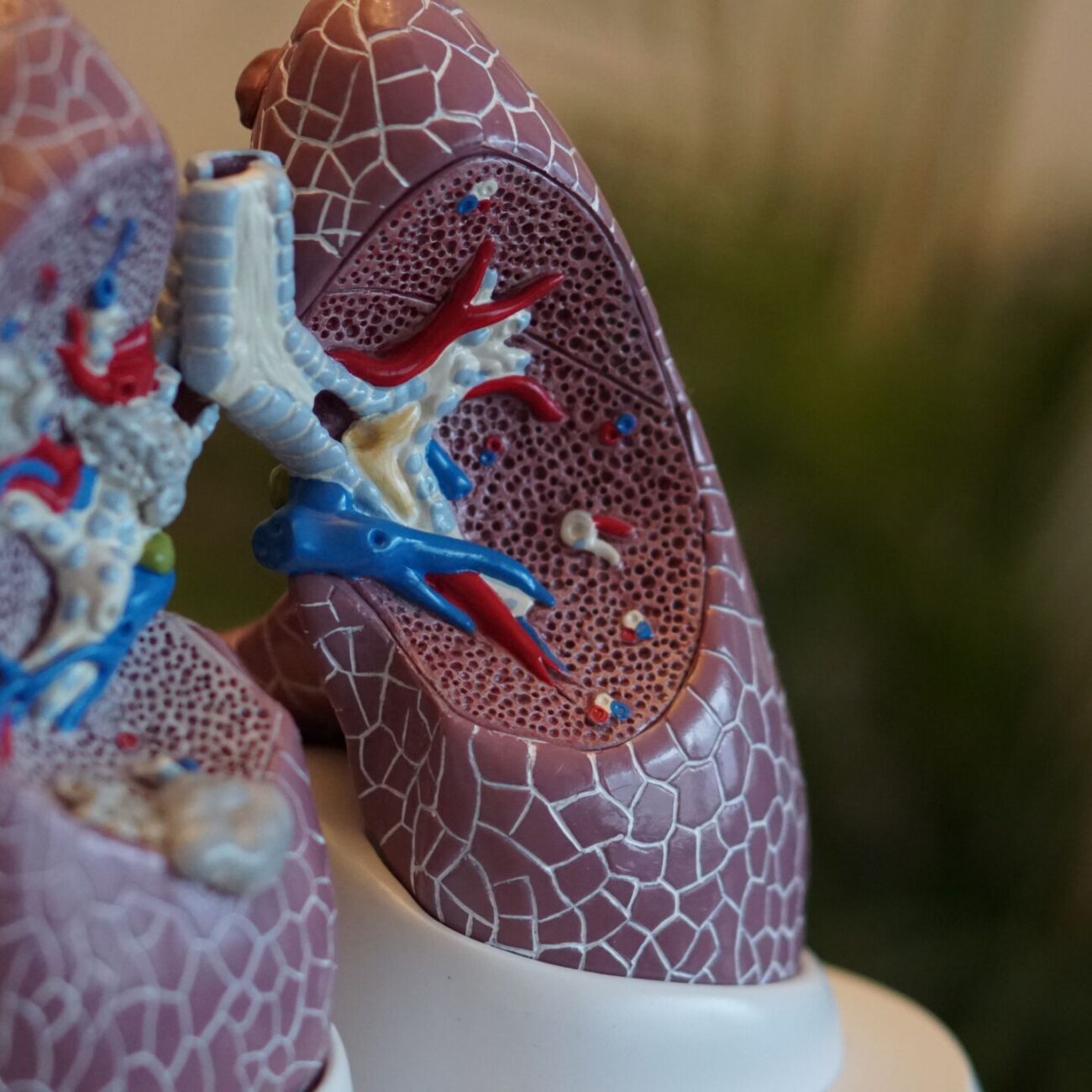 NL-GHK-Cu w chorobach płuc